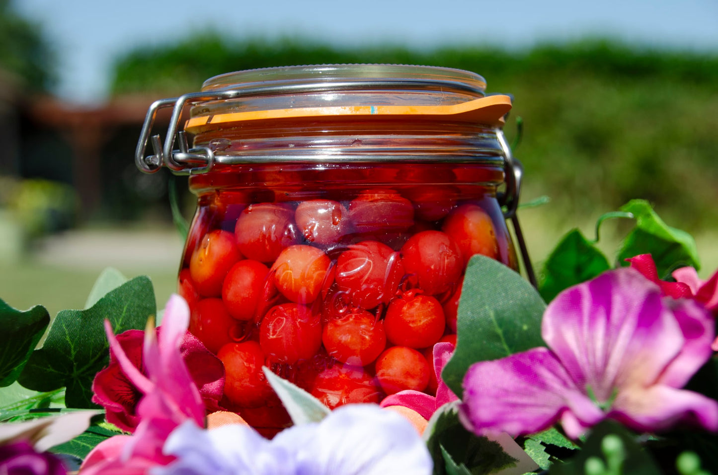 Cerises à l'eau de vie